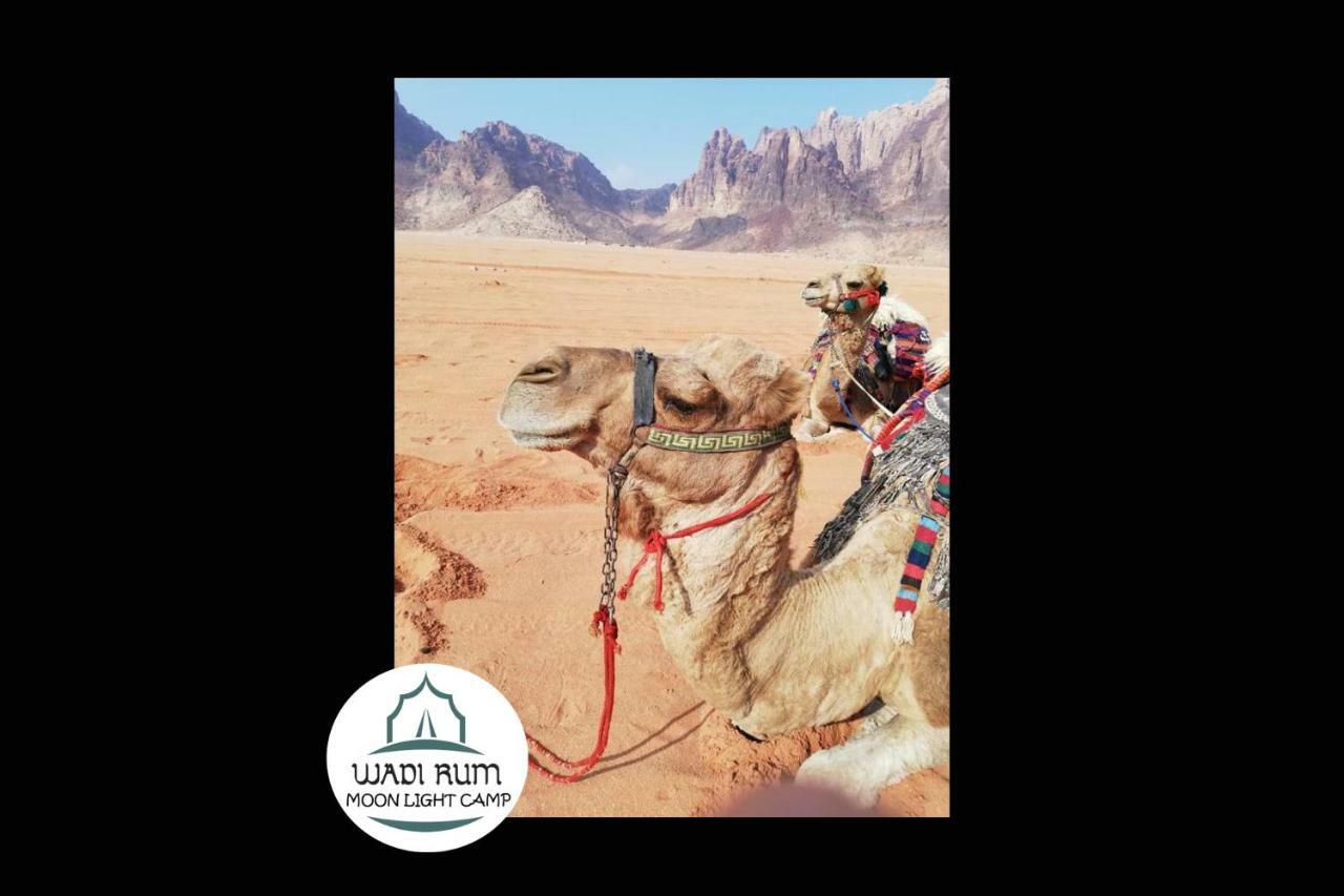 Wadi Rum Moon Light Camp Exterior photo